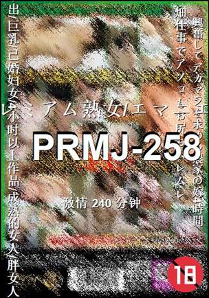 PRMJ-258