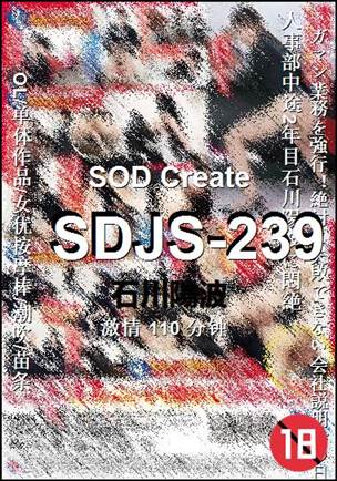 SDJS-239