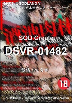 DSVR-01482
