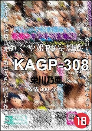 KAGP-308