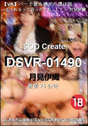 DSVR-01490