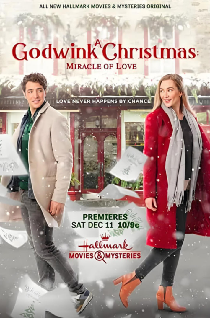 戈德温克的圣诞节:爱的奇迹