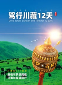 д12