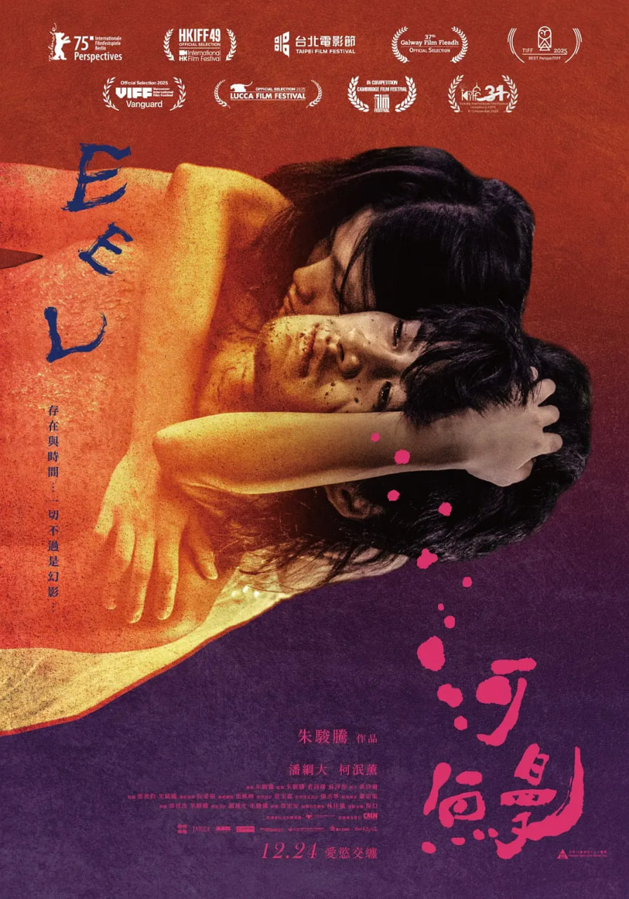 ���� ����(2025)